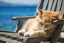 AI Generated Illustration Of A Cat Napping On A Beach Chair In The Sun