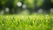 green grass background high definition(hd) photographic creative image