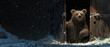 A bear with surprising dexterity, using a stick to jimmy open the latch of its enclosure, under the cover of a starry night