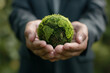 A business man in a suit holding a green planet Earth made of moss, in a close up shot, with a blurred background 