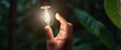 Hand holding light bulb against nature on leaf with energy source
