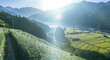 夏　日本の田園里山　田舎の風景　遠くに臨む山と青空と雲　夏休み・帰省・自然のイメージ背景
