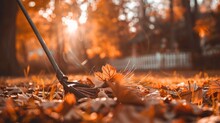 A Broom Is Laying On The Ground Amidst A Pile Of Fallen Leaves In An Autumn Yard Setting