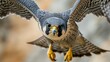 Majestic Peregrine Falcon in Mid-Flight Showcasing Detailed Wing Span and Intense Gaze