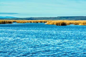 Canvas Print - Serene lake under the blue sky. Illmitz, Austria