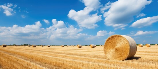 Aufkleber - Harvested Field with Hay Bales Close Up