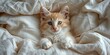 A lovable kitten rests peacefully on a fluffy blanket, its adorable striped fur catching the eye