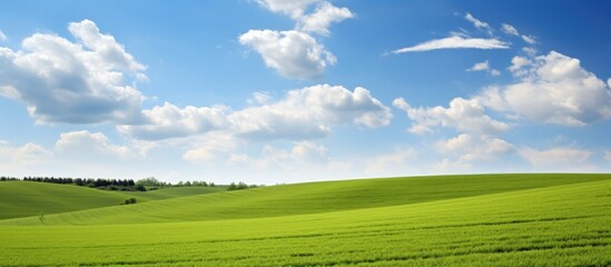 Poster - Green field under a clear blue sky