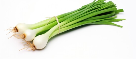 Aufkleber - Green onions on a white surface