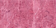 Seamless pinkish red coloured marble background, used for interior kitchen or bathroom tile design, matt surface elegant design for ceramic tiles, white veining pattern