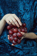 Hands holding a bunch of red grapes against a blue velvet background. Healthy lifestyle and vegan food concept