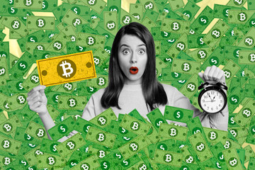 Canvas Print - Composite collage picture image of shocked female hold bitcoin banknote clock earning money trader fantasy billboard comics zine minimal