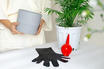 a woman transplants a home flower into a new pot