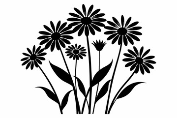 Canvas Print - daisies on transparent, minimalist vector illustration