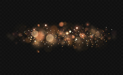Wall Mural - sparkling magic dust particles. the bokeh effect of light is isolated on a transparent background. y