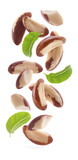 Fototapeta Lawenda - Brazil nuts flying on white background