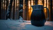 Pitcher in the winter forest during sunset