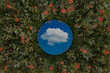 Circular mirror reflecting single white cloud and surrounded by spring meadow flowers. 3D Rendering