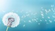 © Damerfie - A single dandelion at the forefront with seeds dispersing in the wind against a serene blue background, depicting change and growth
