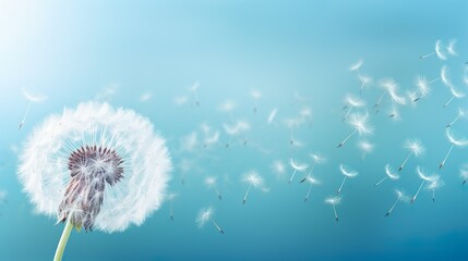 a single dandelion at the forefront with seeds dispersing in the wind against a serene blue backgrou
