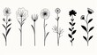 This image displays black silhouettes of simple flowers providing a stark, modern contrast with the white background
