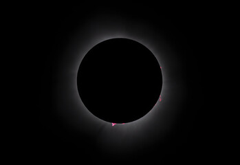 Wall Mural - prominences - total solar eclipse taken april 8, 2024, waterville, quebec, canada