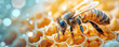 Abstract background with a bee filling with royal jelly in the wax comb of the honey.