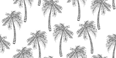 Wall Mural - Black and white seamless pattern with linear palm trees. Sketch style tropical palm trees. Vector background.