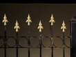 Spiked fence repetition