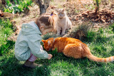 Fototapeta Morze - Child girl playing with cats in spring backyard garden