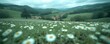Beautiful spring and summer natural landscape with blooming field of daisies in the grass in the hilly countryside. created by ai