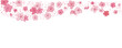 Pink Cherry blossom flower pattern. Spring flower graphic pattern for seasonal design, Cherry blossom seasons banner. Vector illustration.
