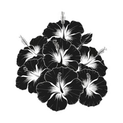 Vector set of black silhouettes of tropical hibiscus flowers isolated on a white background.