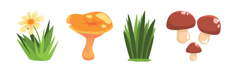 Poster - Forest Element and Outdoor Environment Object with Grass and Mushroom Vector Set
