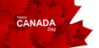 Canada day 1st of july banner design of maple leaves on white background Vector illustration