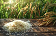 Jasmine rice and rice plant on the wooden table with the rice field background