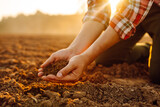 Fototapeta Kuchnia - Farmer's hands holding soil, checking soil health before sowing. Ecology, agriculture concept.