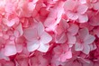 Soft pink flowers create a delicate background pattern, perfect for postcards or gifts on 8th March