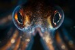The luminous eyes of a squid peer curiously at a camera,close up