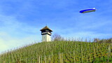 Fototapeta  - gepflegter Weinberg bei Meersburg am Bodensee  mit Zeppelin und malerischem Rebhäuschen