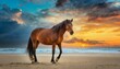 Majestic Silhouette: Brown Horse Standing on Sandy Beach at Sunset