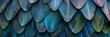 Blue Color Feathers Background, Rainbow Tint Colored Plumage, Scaly Wings Texture, Copy Space