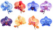 assorted colored orchid emojis
