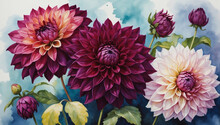 Exquisite Dahlias Against A Watercolor Canvas Of Deep Burgundy And Magenta, Adding A Touch Of Drama And Sophistication.