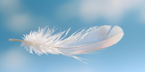 Poster - A Single White Feather Floating Against a Soft Blue Sky Embodying Tranquility and Serenity