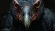 Macro shot capturing the piercing look of a majestic eagle's eyes and beak detail