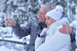 Happy senior couple posing at winter park