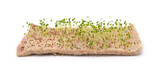 Fototapeta Zwierzęta - Young sprouts on a linen mat.