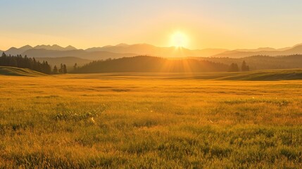 Poster - sunrise over the field