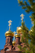Fir branches close up and blurred Christianity Cathedral
